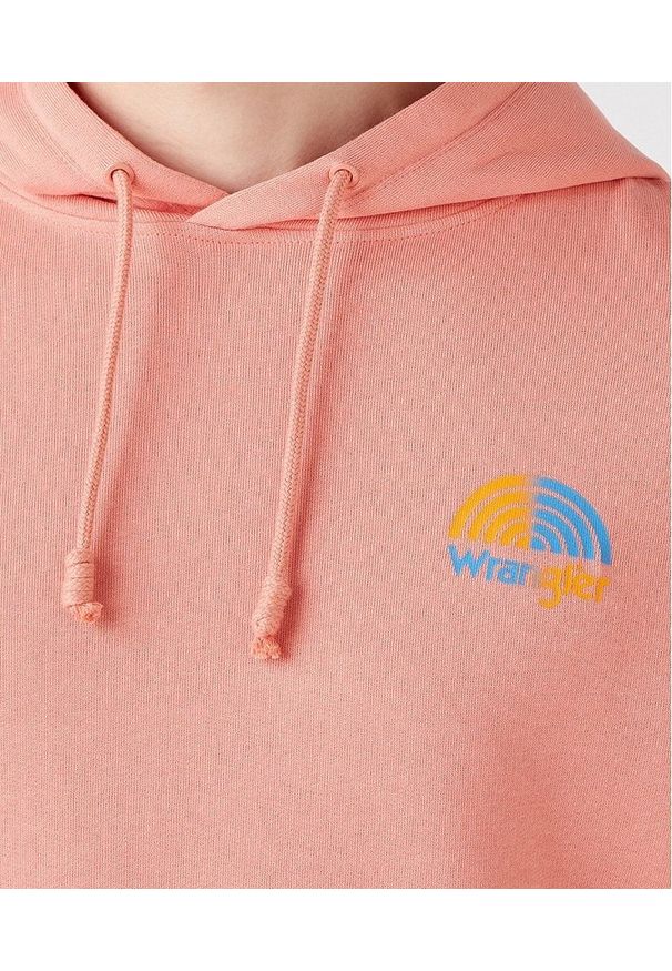 Wrangler - WRANGLER RAINBOW HOODIE MĘSKA BLUZA Z KAPTUREM LOGO SPICED CORAL W6H8HAX6Y 112146206. Typ kołnierza: kaptur