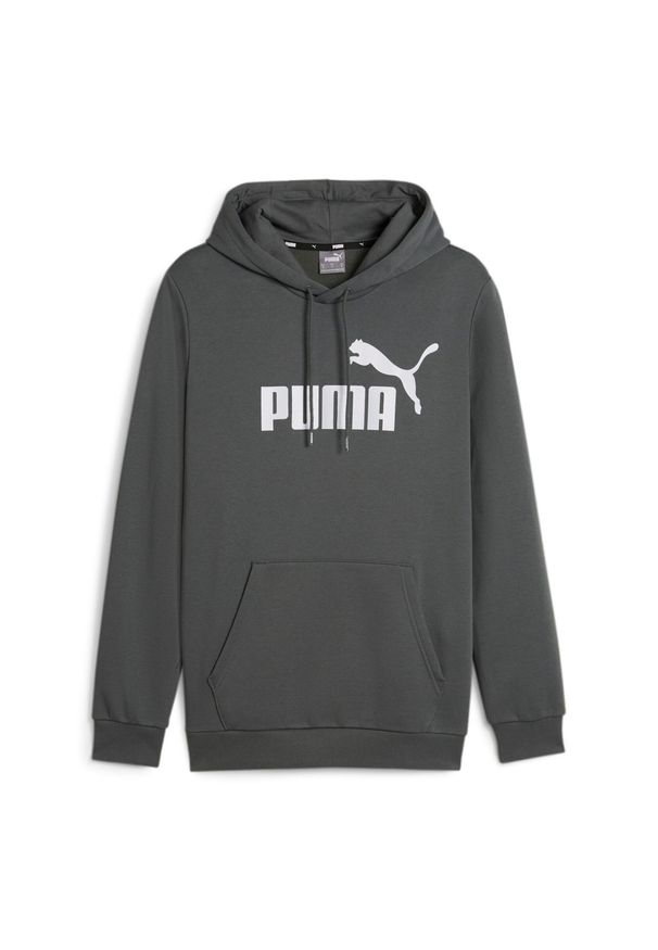 Puma - Bluza męska PUMA Essentials Big Logo Hoodie FL. Kolor: szary. Sport: fitness