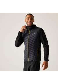 Regatta - Kurtka męska hybrydowa Andreson. Kolor: szary, wielokolorowy, brązowy. Materiał: puch. Sport: turystyka piesza #1