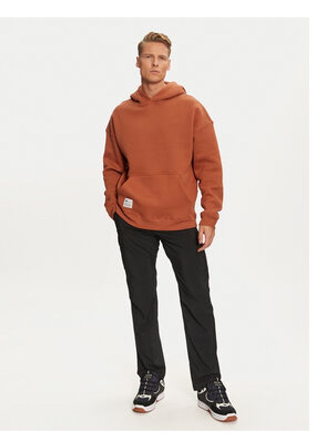 Alpha Industries Bluza 146336 Brązowy Regular Fit. Kolor: brązowy. Materiał: syntetyk