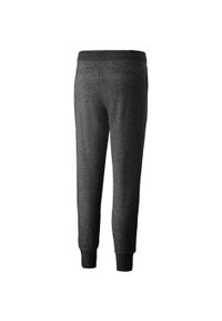 Spodnie fitness damskie Puma ESS Sweatpants FL. Kolor: szary. Sport: fitness