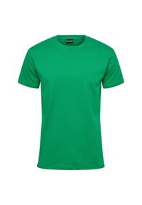 Koszulka Hummel Red Basic. Kolor: zielony. Materiał: jersey, bawełna. Sport: fitness #1