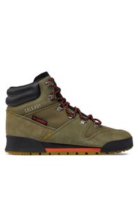 Adidas - adidas Trekkingi Terrex Snowpitch COLD.RDY Hiking Shoes GW4065 Zielony. Kolor: zielony. Materiał: skóra. Model: Adidas Terrex. Sport: turystyka piesza #1