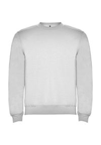 ROLY - Bluza Unisex Dla Dorosłych Clasica Z Okrągłym Dekoltem. Kolor: szary