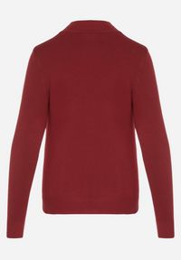 Born2be - Bordowy Gładki Sweter z Półgolfem w Stylu Casual Unallia. Okazja: na co dzień. Kolor: czerwony. Materiał: jeans. Długość rękawa: długi rękaw. Długość: długie. Wzór: gładki. Styl: casual #6