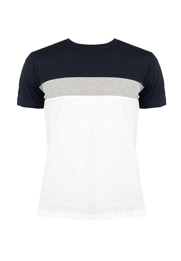Geox T-shirt "Sustainable" | M2510F T2870 | Sustainable | Mężczyzna | Biały, Szary, Granatowy. Okazja: na co dzień. Kolor: biały, wielokolorowy, niebieski, szary. Materiał: bawełna. Wzór: nadruk. Styl: casual