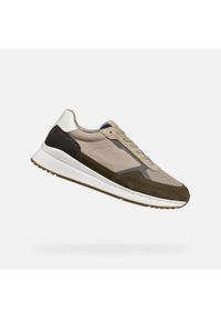 Trenerzy Geox Branthon A. Kolor: zielony #1