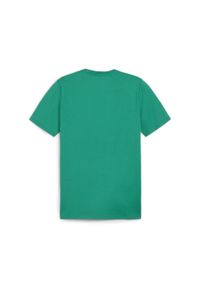 Koszulka Puma Team Goal. Kolor: zielony