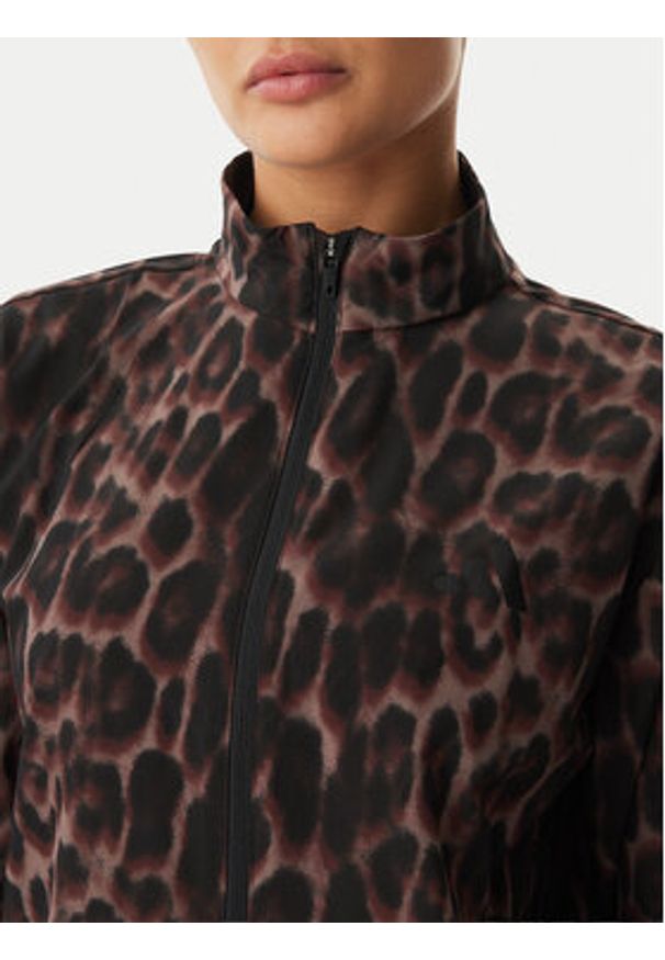 Adidas - adidas Bluza Workout Essentials Leopard Woven KD7612 Brązowy Regular Fit. Kolor: brązowy. Materiał: syntetyk