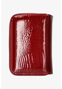 Cedar - Portfel damski czerwony lakierowany/9. Kolor: czerwony. Materiał: lakier