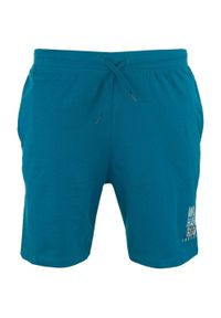 ZFOAM - Glemo Einar Krótkie Spodenki Męskie – 100% Bawełna. Kolor: szary, niebieski, wielokolorowy. Materiał: bawełna. Długość: krótkie. Sport: fitness #1