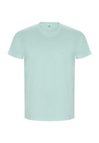 ROLY - Męska Złota Gładka Koszulka Z Krótkim Rękawem. Kolor: zielony. Długość rękawa: krótki rękaw. Długość: krótkie. Wzór: gładki. Sport: turystyka piesza #1