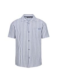 Regatta - Męska Koszulka Z Krótkim Rękawem Shorebay II Stripe. Kolor: niebieski, biały, wielokolorowy. Długość rękawa: krótki rękaw. Długość: krótkie. Sport: turystyka piesza #1