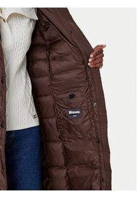 Blauer Płaszcz zimowy 25WBLDK03101 Brązowy Regular Fit. Kolor: brązowy. Materiał: syntetyk. Sezon: zima #4