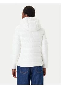 Blauer Kurtka zimowa 25WBLDC02072 Biały Regular Fit. Kolor: biały. Materiał: syntetyk. Sezon: zima #4
