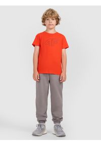 4f - 4F T-shirt regular z nadrukiem chłopięcy - czerwony 122 (6-7 lat). Okazja: na co dzień. Kolor: czerwony. Materiał: jersey, bawełna, materiał. Długość rękawa: krótki rękaw. Długość: krótkie. Wzór: nadruk. Sezon: lato. Styl: sportowy, klasyczny, casual