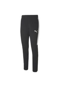 Spodnie dziecięce Puma Speed. Kolor: wielokolorowy, biały, czarny. Sport: piłka nożna, fitness #1