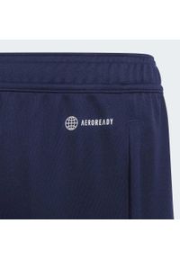 Adidas - Entrada 22 Training Pants. Kolor: niebieski. Materiał: materiał. Sport: piłka nożna