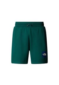Spodenki sportowe męskie The North Face Box Nse Regular. Kolor: zielony
