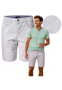 Lekkie, Bawełniane Szorty (Krótkie Spodenki) - Pako Jeans - Popiel w Prążek. Materiał: bawełna, elastan. Długość: krótkie. Wzór: prążki. Sezon: lato. Styl: klasyczny #3