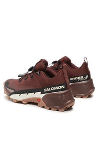 salomon - Salomon Trekkingi Cross Hike Gtx 2 W GORE-TEX 417306 20 V0 Brązowy. Kolor: brązowy. Materiał: materiał #6