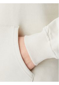 Tommy Jeans Bluza Tonal Linear DW0DW20304 Beżowy Regular Fit. Kolor: beżowy. Materiał: bawełna #5