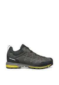 Scarpa - Buty trekkingowe męskie Zodiac GTX. Kolor: szary. Technologia: Gore-Tex