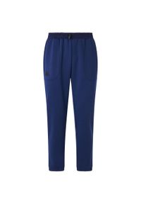 Spodnie do biegania Kappa Gesso. Kolor: niebieski. Materiał: dresówka. Sport: fitness #1