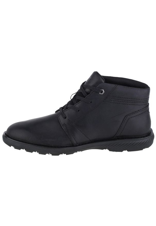 CATerpillar - Buty do chodzenia męskie, Caterpillar Trey 2.0. Zapięcie: sznurówki. Kolor: wielokolorowy, czarny. Materiał: guma, skóra, tkanina, materiał, syntetyk. Szerokość cholewki: normalna. Sport: turystyka piesza