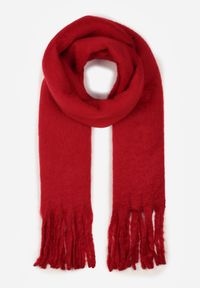 Born2be - Bordowy Szalik z Ozdobnymi Frędzlami Esariana. Okazja: na co dzień. Kolor: czerwony. Wzór: aplikacja. Styl: klasyczny, casual #4