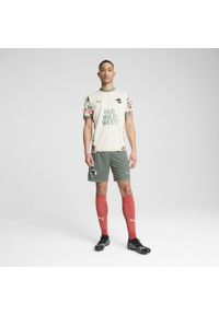 Puma - Męskie szorty Palermo F.C. 24/25 PUMA Eucalyptus Green. Kolor: biały, zielony, wielokolorowy