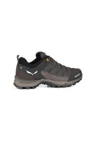 Buty Trekkingowe Męskie Salewa Mtn Trainer Lite Gtx. Kolor: wielokolorowy. Materiał: materiał, syntetyk, tkanina
