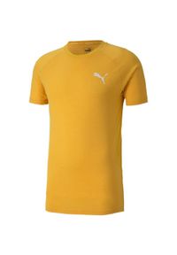 Puma - T-shirt Męski Evostripe Lite. Kolor: żółty