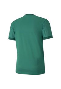Puma - Męska Koszulka TeamGoal 23. Kolor: zielony