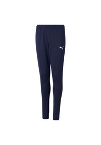 Spodnie piłkarskie dla dzieci Puma teamRISE Poly Training Pants Jr. Kolor: niebieski. Materiał: poliester. Sezon: zima. Sport: piłka nożna #1