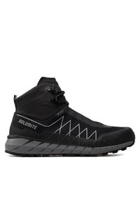 Dolomite Trekkingi Croda Nera Hi Gts Ms GORE-TEX 289223-0119020 Czarny. Kolor: czarny. Materiał: materiał. Technologia: Gore-Tex. Sport: turystyka piesza