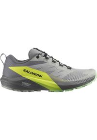 salomon - Buty do biegania w terenie męskie Salomon Sense Ride 5. Kolor: szary. Sport: bieganie #1