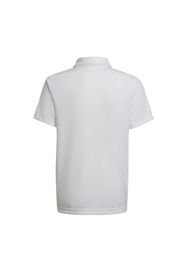 Adidas - Koszulka polo piłkarska dla dzieci adidas Entrada 22 Polo. Typ kołnierza: polo. Kolor: biały. Sport: piłka nożna