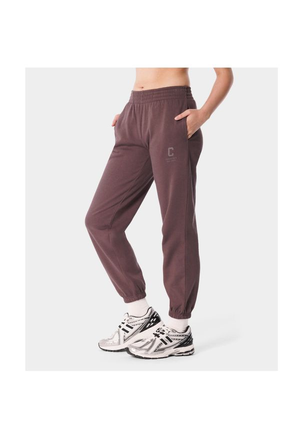 Spodnie dresowe sportowe dla kobiet Carpatree Varsity Chic. Kolor: brązowy. Materiał: dresówka. Sport: fitness