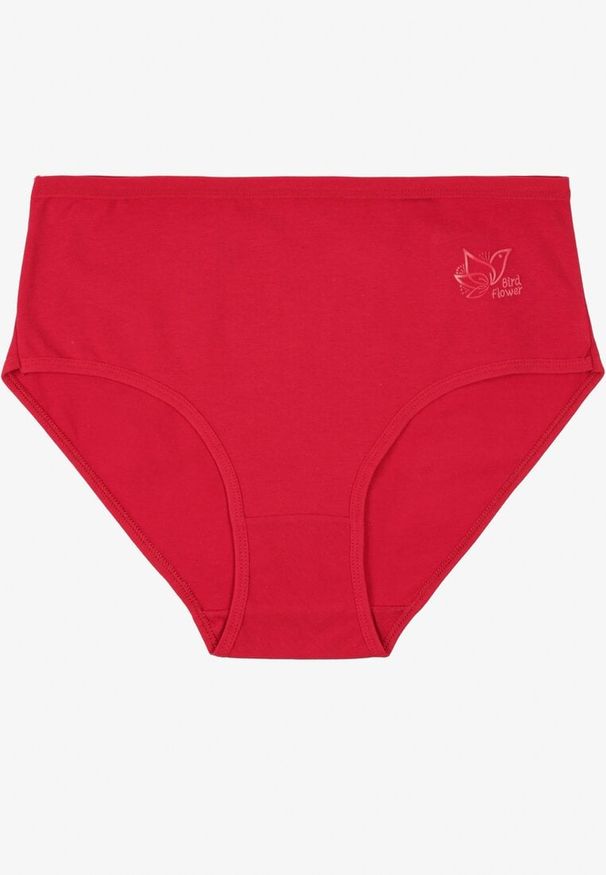 Born2be - Bordowe Gładkie Majtki Figi z Bawełny Idina. Kolekcja: plus size. Kolor: czerwony. Materiał: bawełna. Wzór: gładki