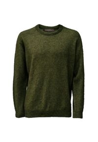 WEFT - Wełniany sweter outdoorowy męski Possum Merino Cambridge Crewneck. Kolor: zielony. Materiał: wełna