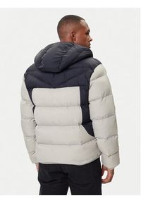 Napapijri Kurtka zimowa A-Molveno NP0A88V2 Szary Regular Fit. Kolor: szary. Materiał: syntetyk. Sezon: zima #3