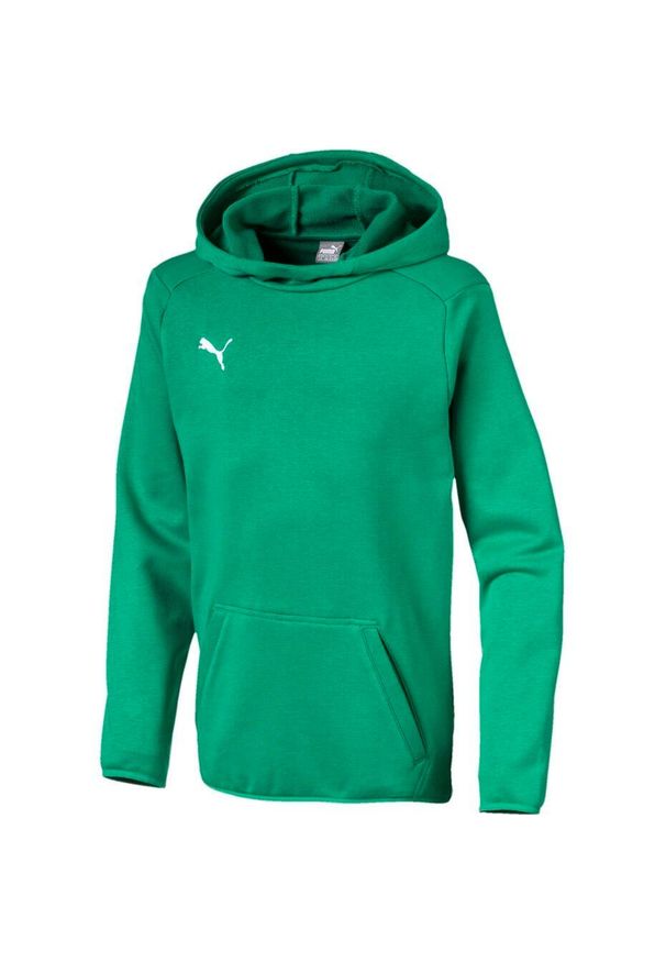 Bluza dla chłopca Puma Liga Casuals Hoody zielona 655636 05. Kolor: zielony