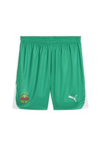 Puma - Męskie szorty piłkarskie SK Rapid Wiedeń PUMA Sport Green White. Kolor: biały, wielokolorowy, zielony. Sport: piłka nożna