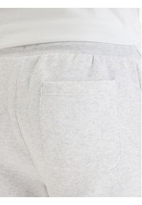 Tommy Jeans Szorty sportowe DM0DM21931 Szary Regular Fit. Kolor: szary. Materiał: bawełna. Styl: sportowy #4