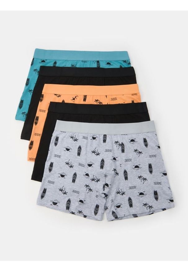 Sinsay - Bokserki Long 5 pack - wielobarwny