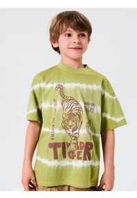 Sinsay - Koszulka oversize - zielony. Kolor: zielony #1