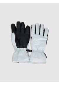 4f - 4F Rękawiczki narciarskie Thinsulate membrana 5000 damskie - szare M. Kolor: szary. Materiał: materiał. Technologia: Thinsulate. Wzór: paski. Sezon: zima. Sport: narciarstwo #1