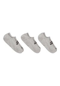 Nike - Skarpety Unisex Dla Dorosłych Everyday Plus Z Amortyzacją (zestaw 3 Sztuk). Kolor: szary. Sport: turystyka piesza