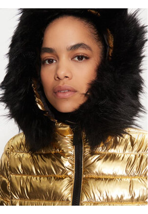 LOLA CASADEMUNT Kurtka zimowa LF2401008 Złoty Regular Fit. Kolor: złoty. Materiał: syntetyk. Sezon: zima